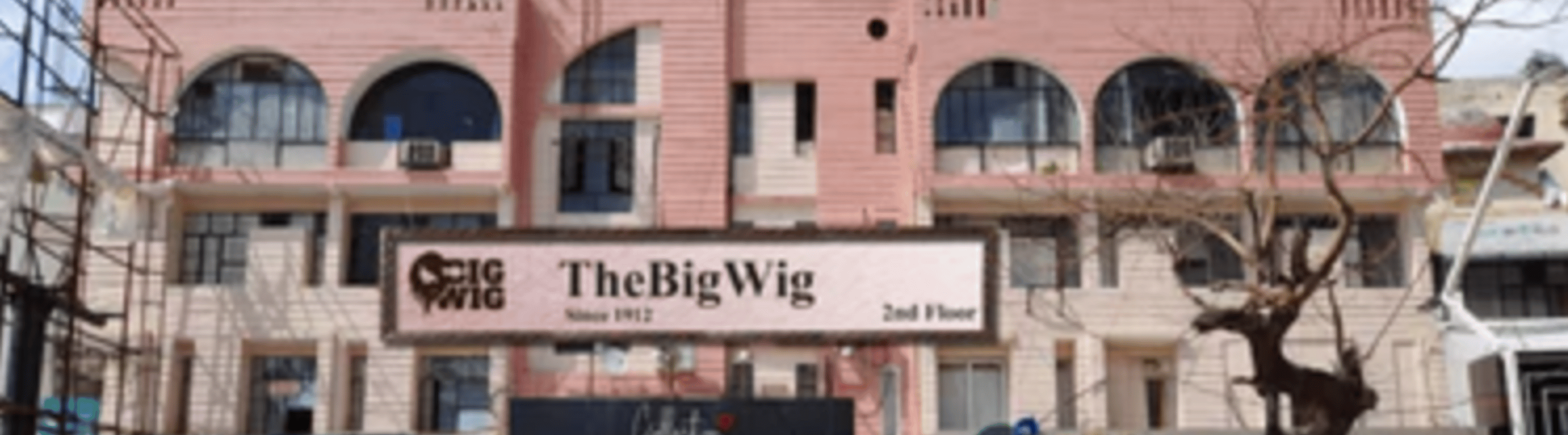 The Big Wig